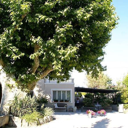 Le Vieux Platane Hotel Cairanne Exterior photo